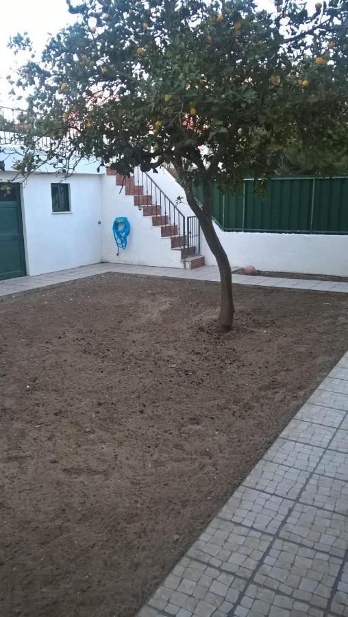 Bed and Breakfast Casa Do Limoeiro Quinta do Conde Exterior foto