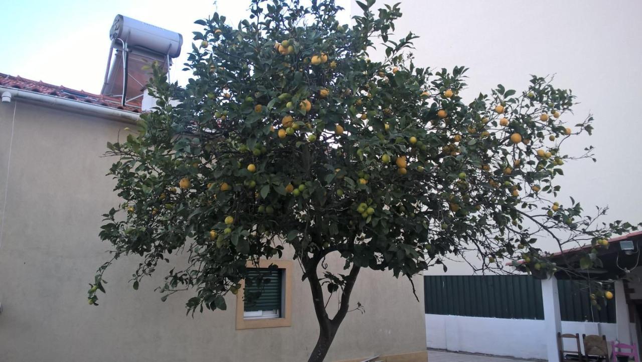Bed and Breakfast Casa Do Limoeiro Quinta do Conde Exterior foto